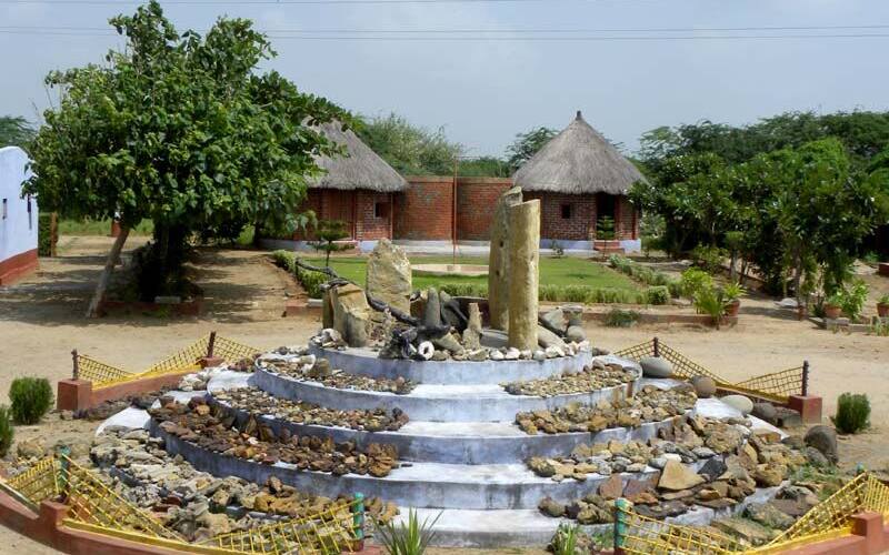 Kutch Fossils Park, Kutch 3